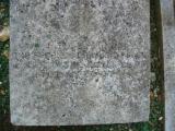 image of grave number 613843